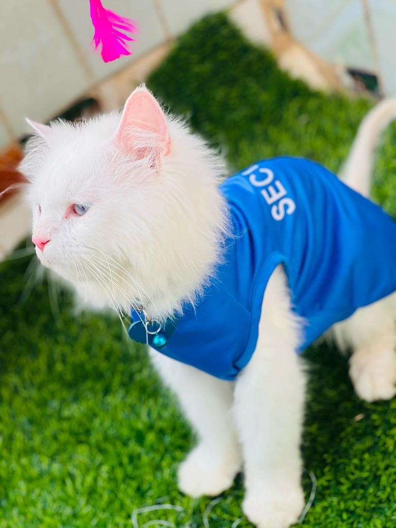 Security pet shirt - BLUE 🚔