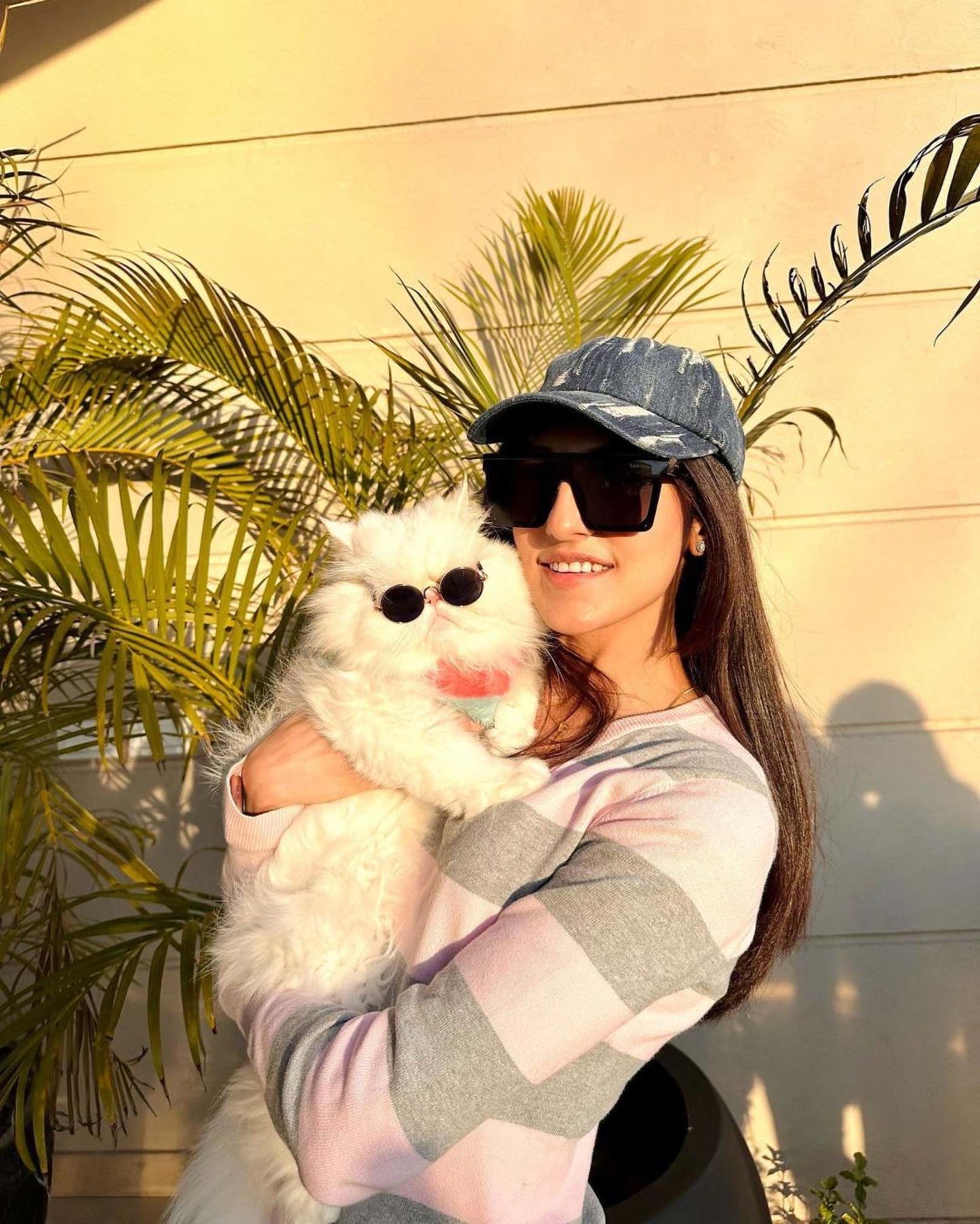Pet glasses – Cool look