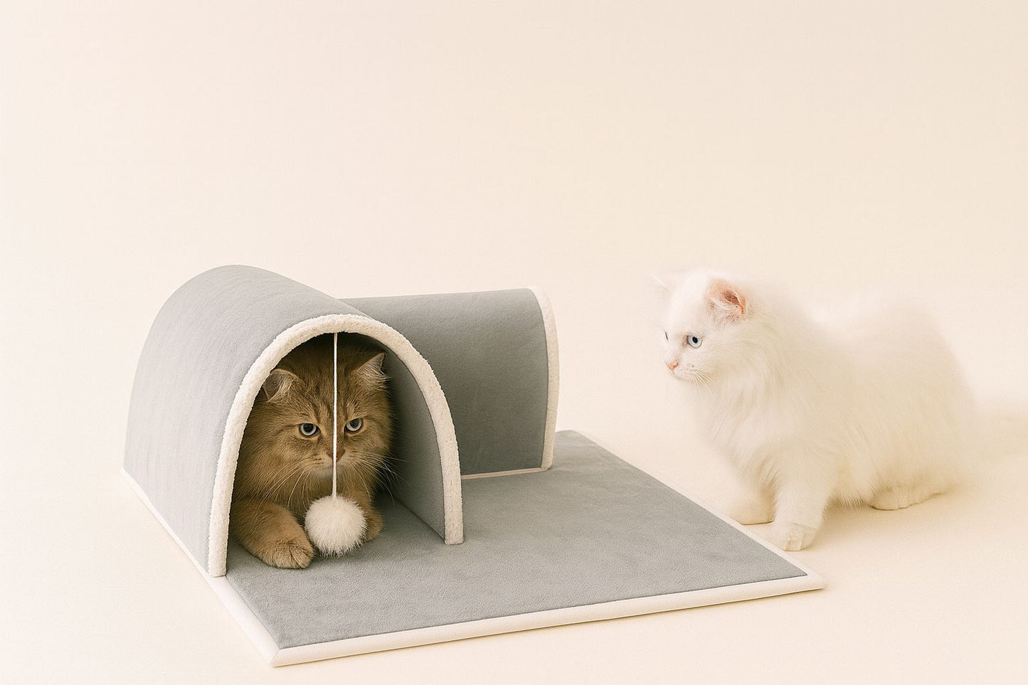 PurPlay Pet Tunnel 🐾