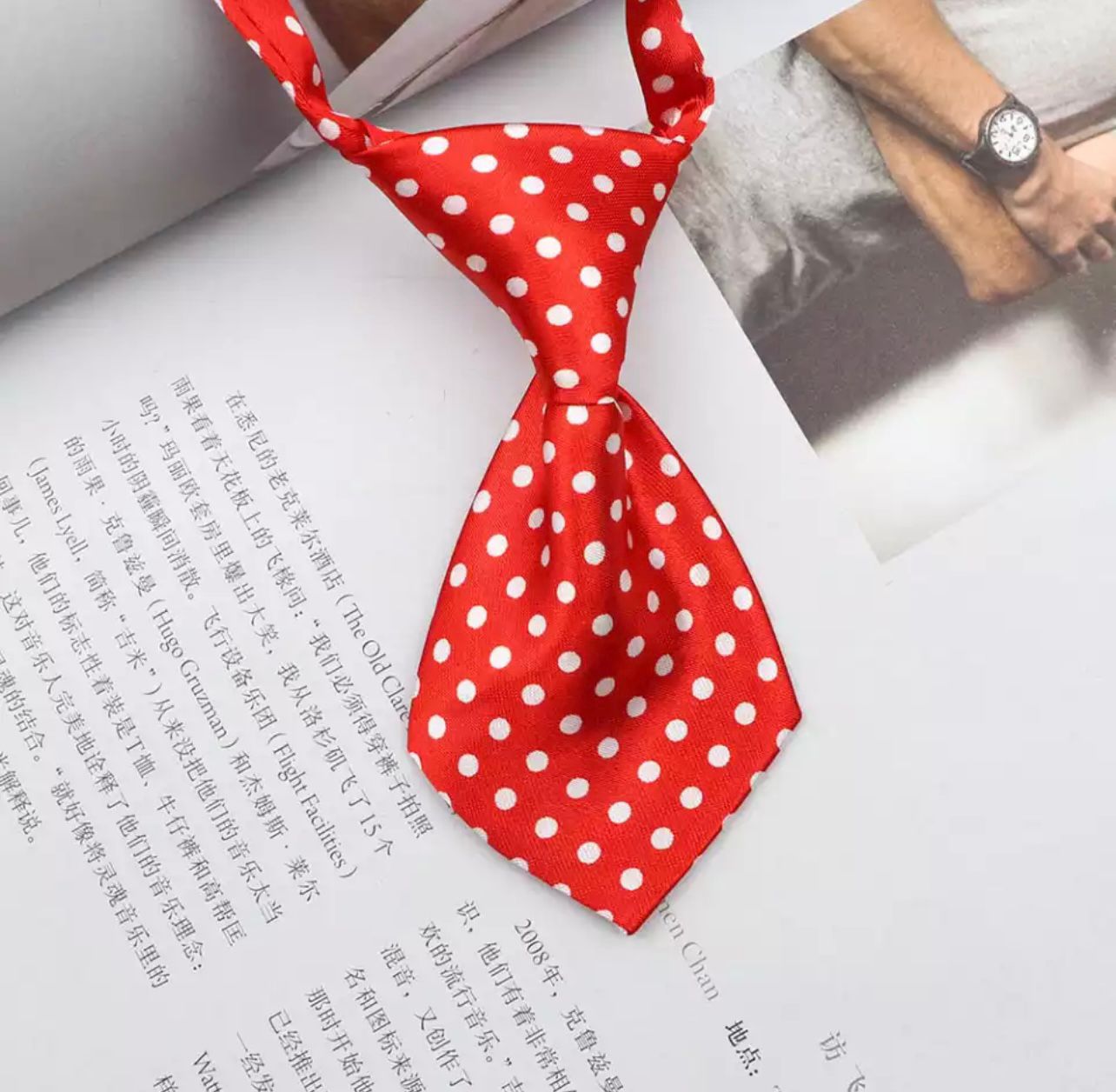 Pet tie - Adjustable ( random prints)