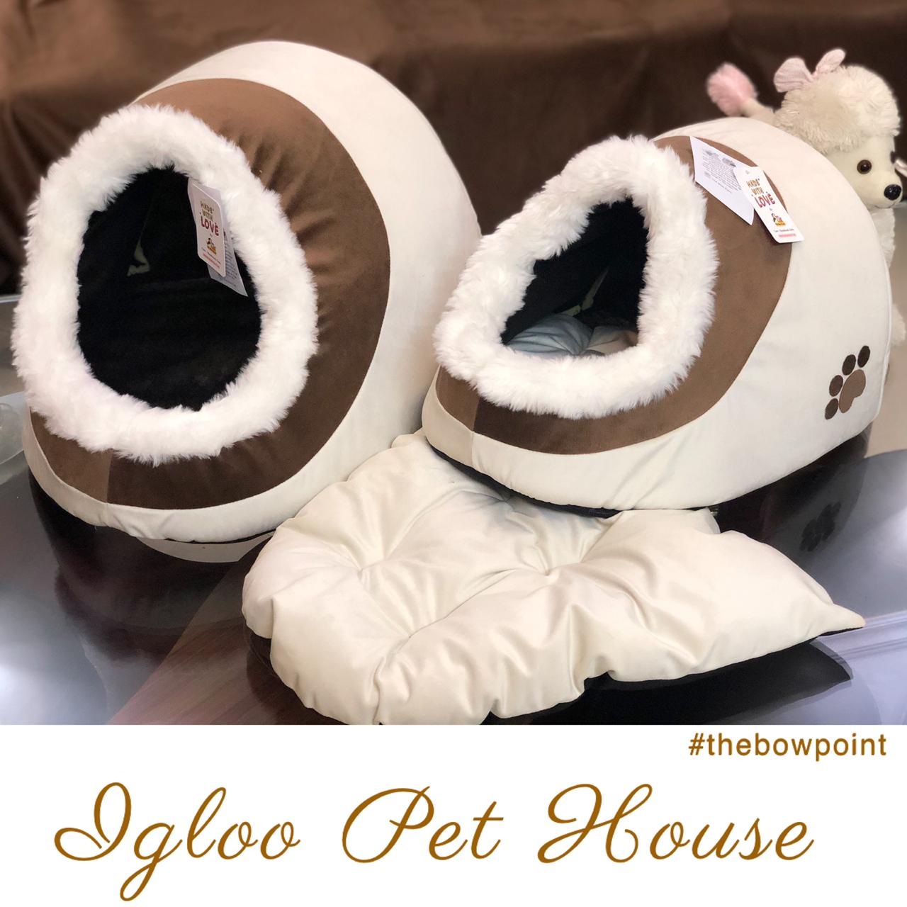 Igloo Pet House