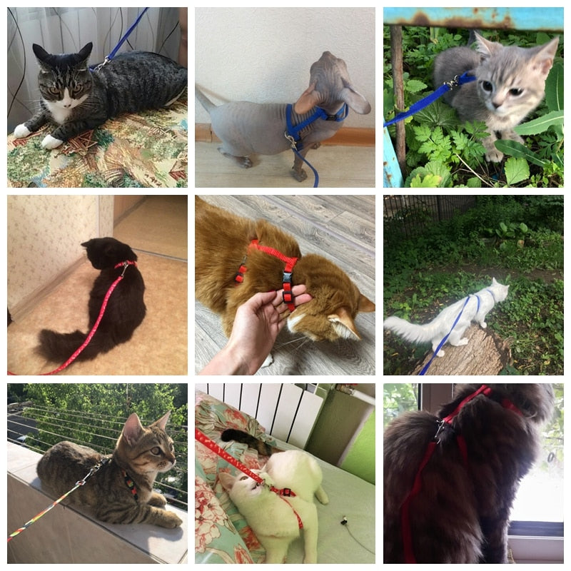 Plain Pet harness Adjustable