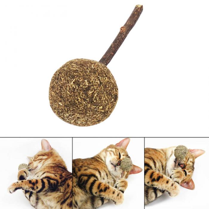 Catnip Lollipop.