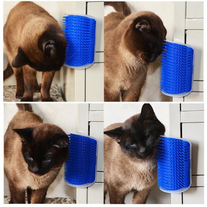 Self Grooming Brush for Pets – with Catnip | Cat it.