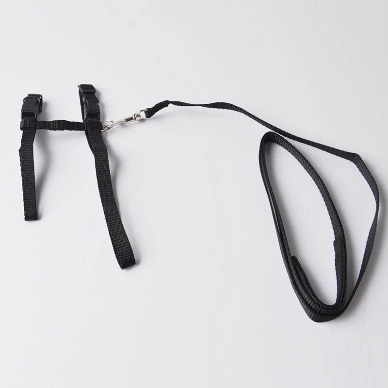 Plain Pet harness Adjustable