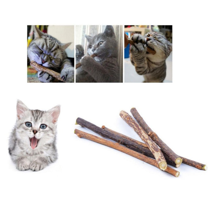 Catnip Chew Sticks (5pcs pack) – Pet toy.