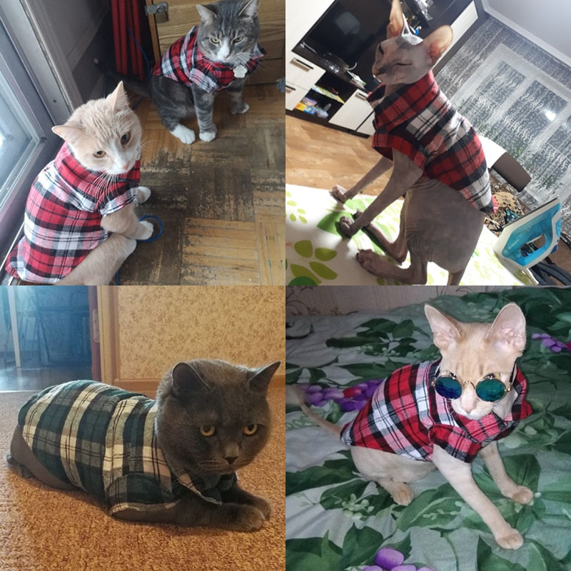 Grid Pet shirt- Spring.