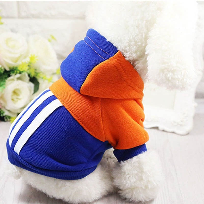 Stripped Pet Hoodie – Warm | Blue & Orange - Winter.