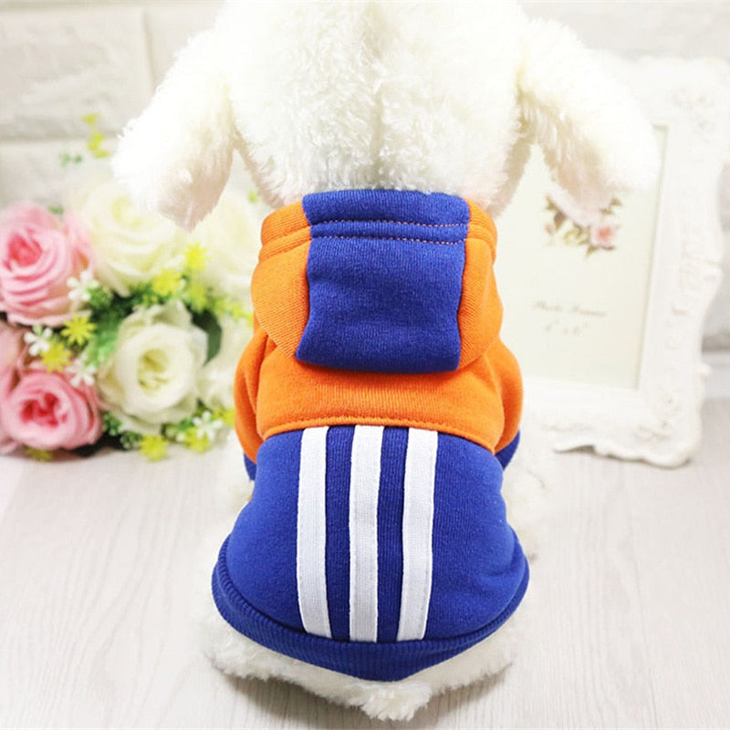 Stripped Pet Hoodie – Warm | Blue & Orange - Winter.