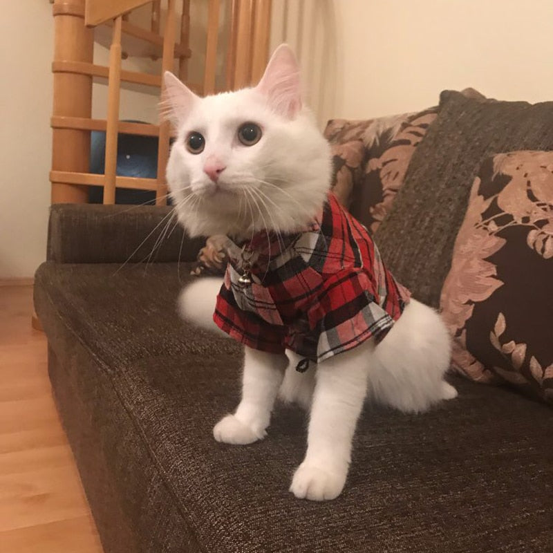 Grid Pet shirt- Spring.