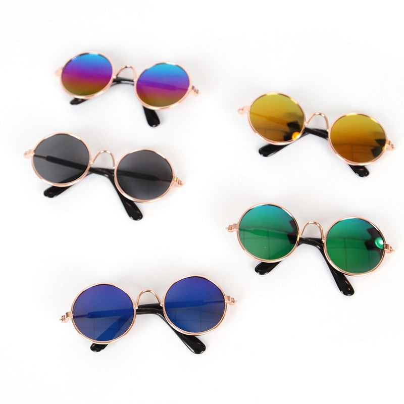 Pet glasses – Cool look