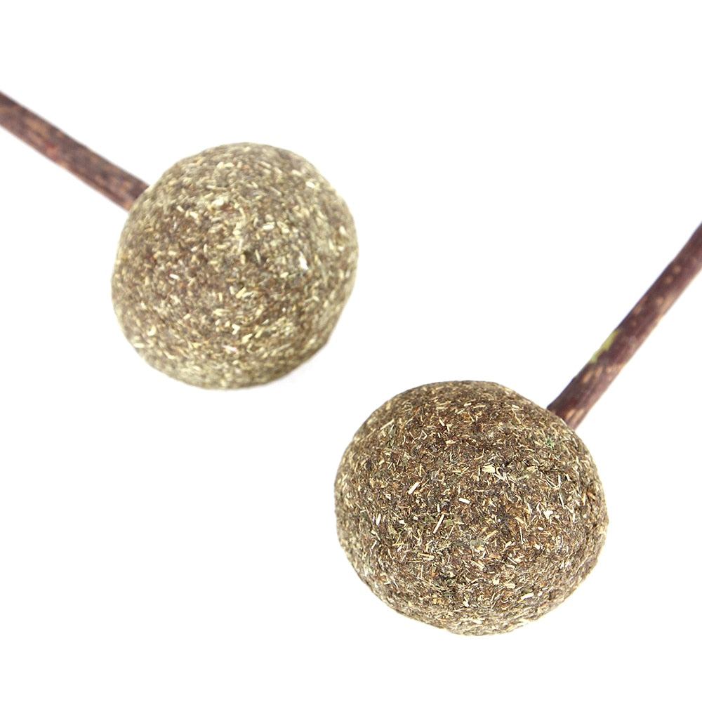 Catnip Lollipop.