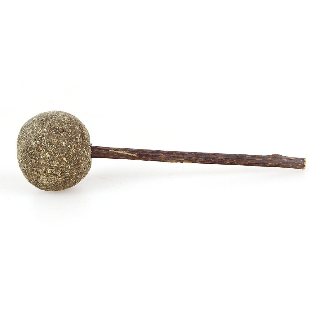 Catnip Lollipop.