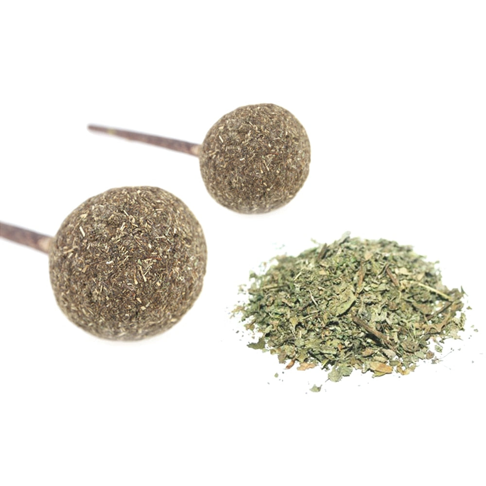 Catnip Lollipop.