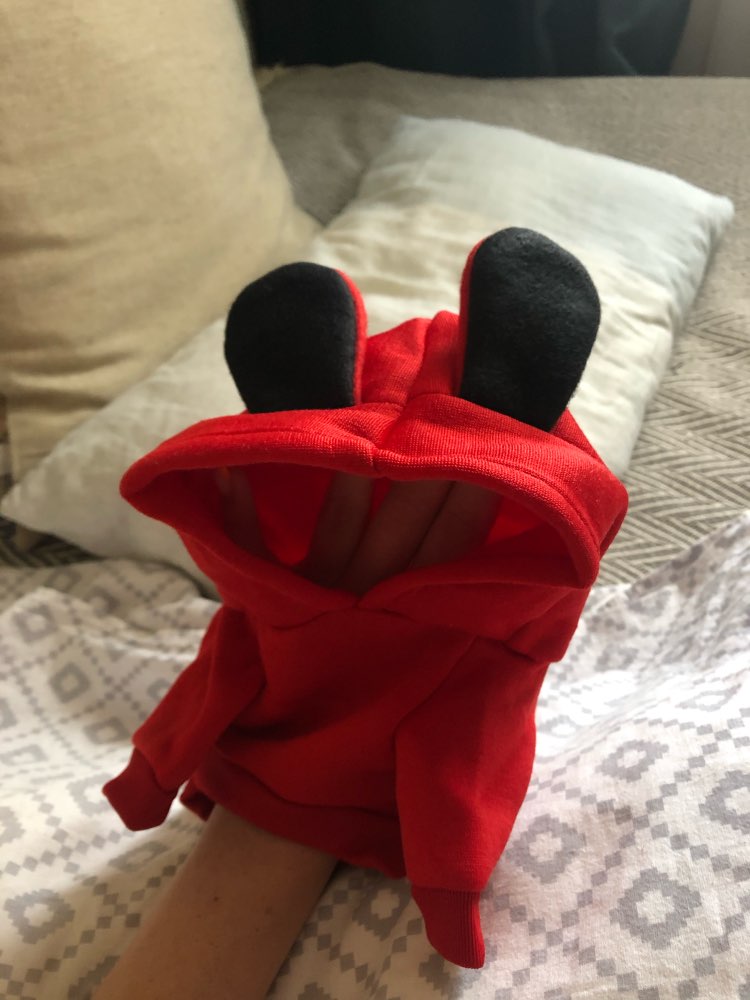 Mickey mouse Pet Hoodie- Spring.