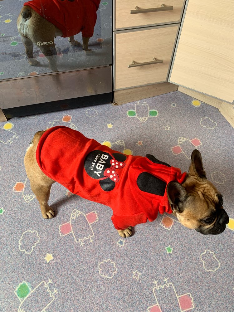 Mickey mouse Pet Hoodie- Spring.