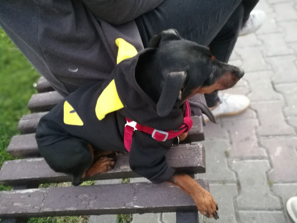 Demon Eyes by Fendi – Pet Hoodie - Spring.