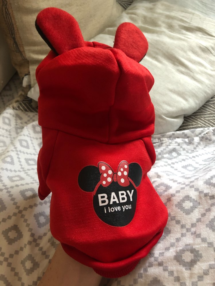 Mickey mouse Pet Hoodie- Spring.