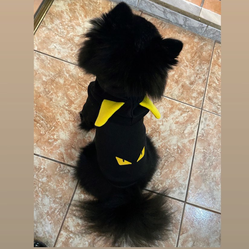 Demon Eyes by Fendi – Pet Hoodie - Spring.