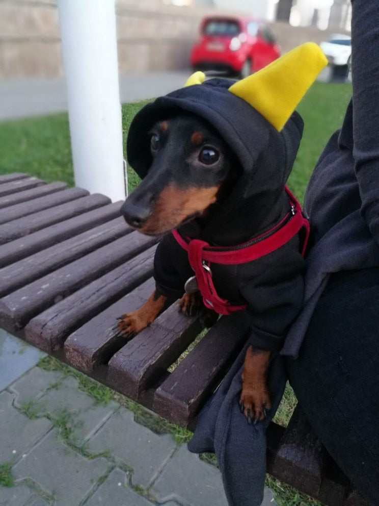 Demon Eyes by Fendi – Pet Hoodie - Spring.