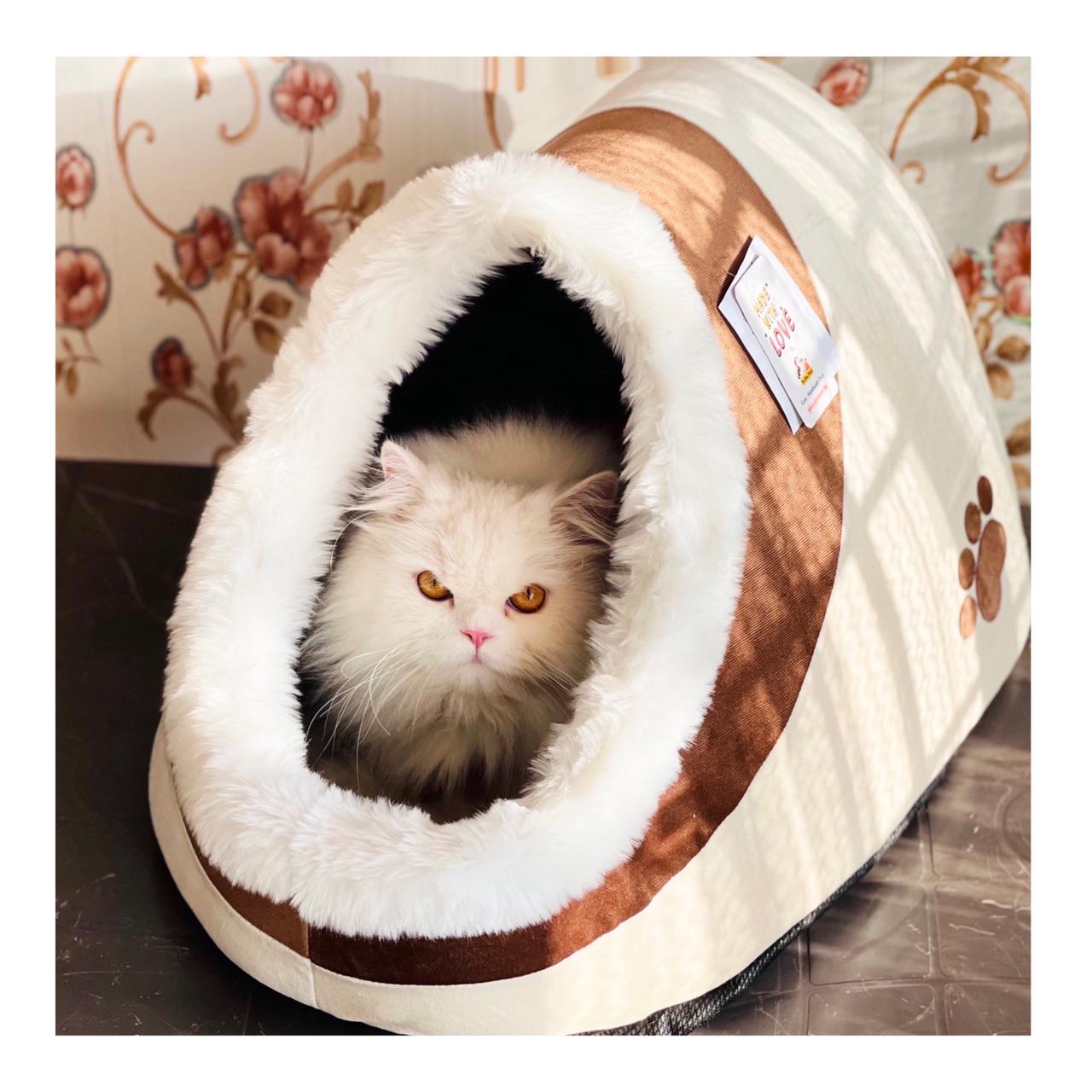 Igloo Pet House