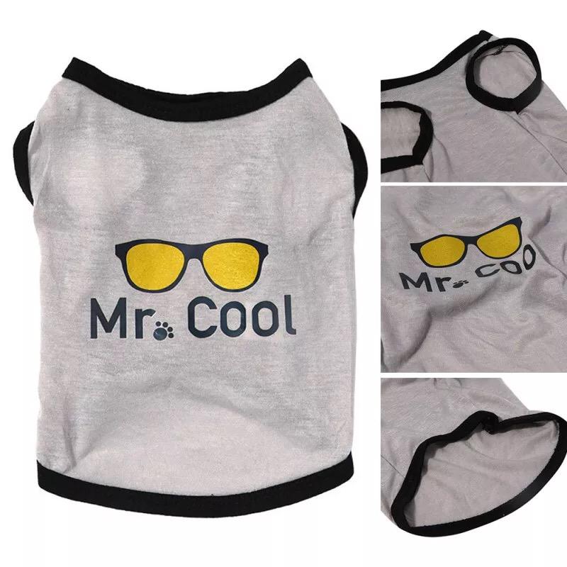 Mr. Cool Pet shirt - Summer
