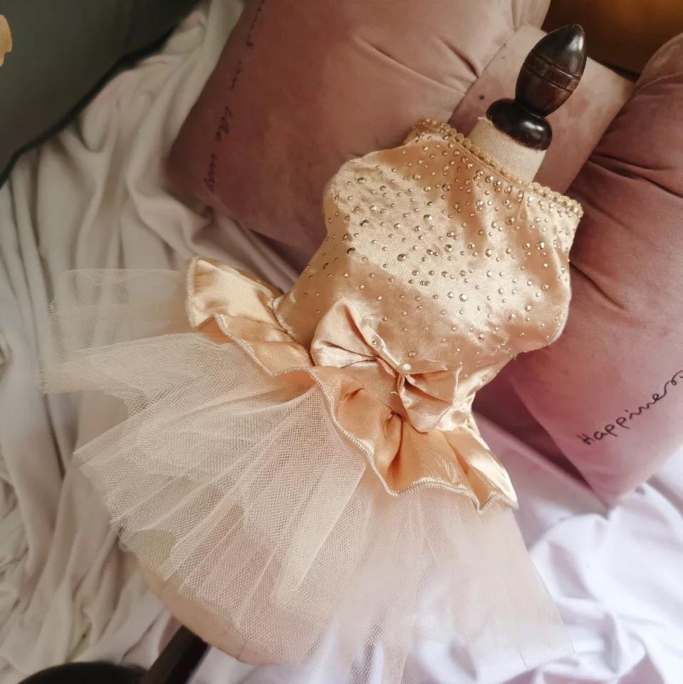 Bow and Beads Pet Frock - GOLDEN - Summer
