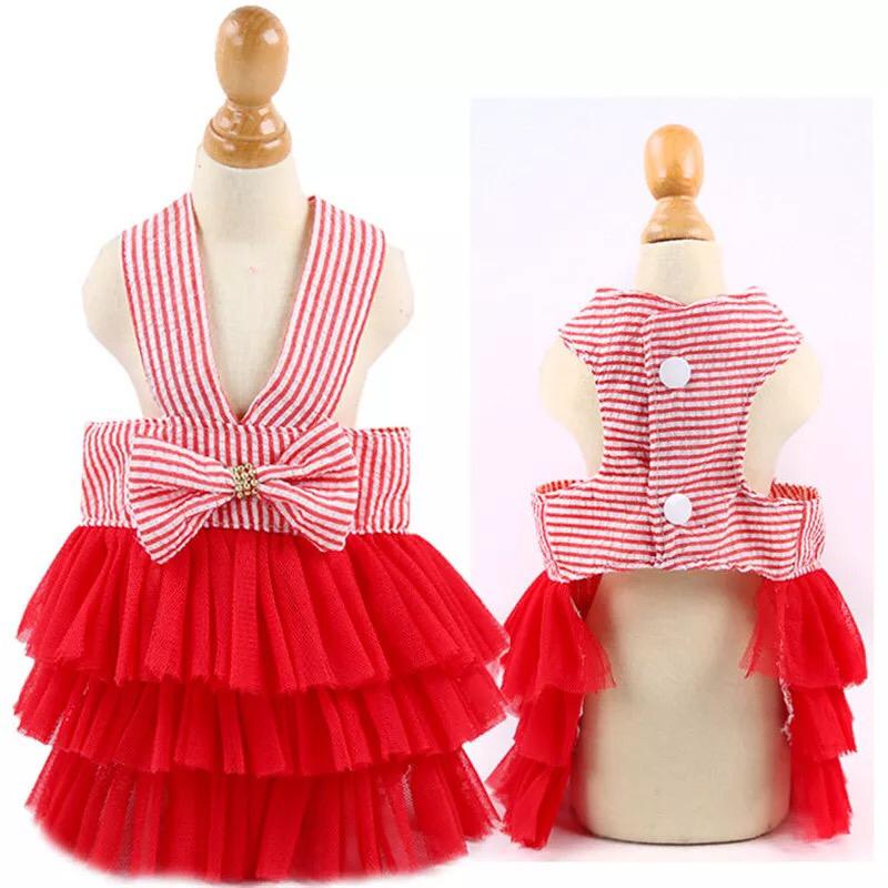Red Stripped Pet Frock - Summer