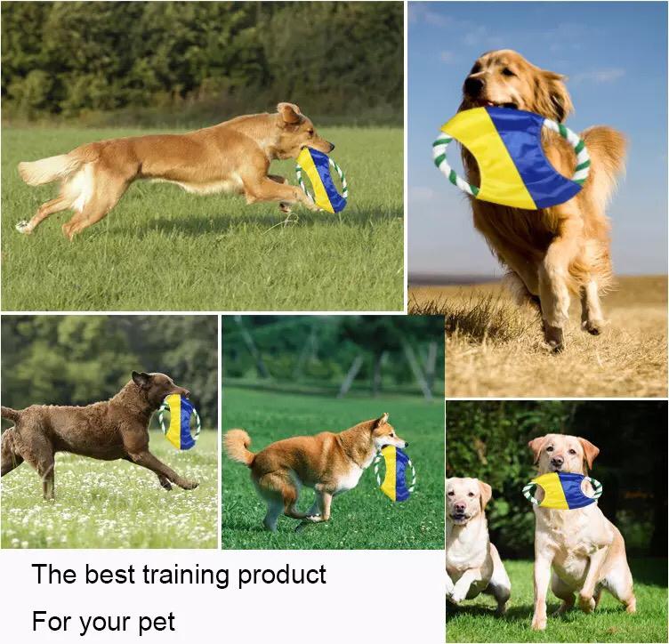 Dog Frisbee Toy