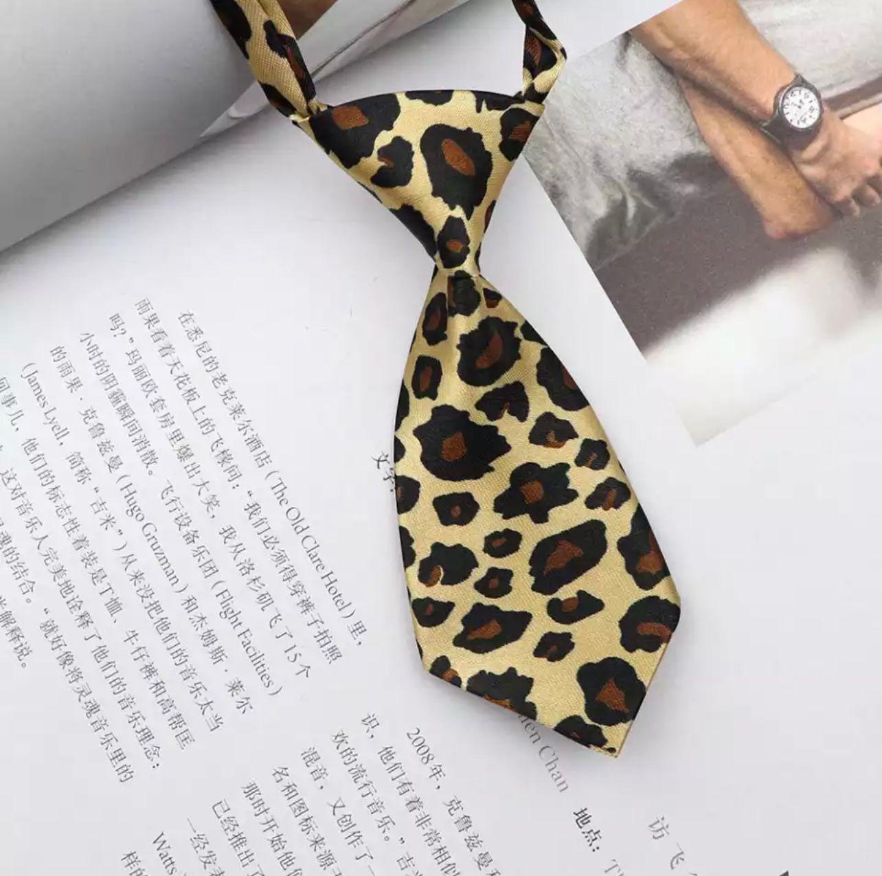 Pet tie - Adjustable ( random prints)