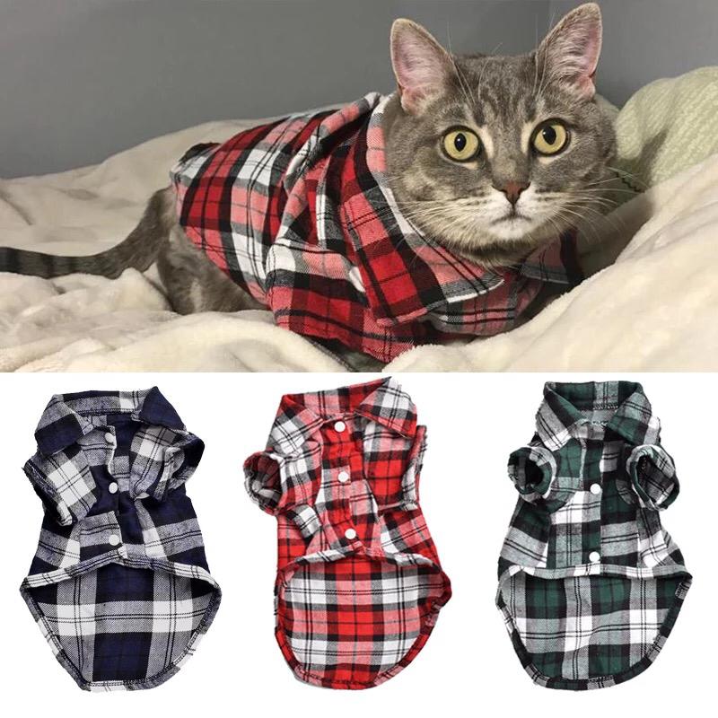 Grid Pet shirt- Spring.