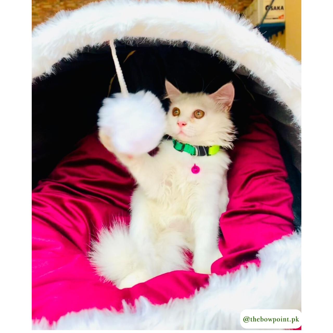 Veranda pet house - pink | FREE DELIVERY ππ»