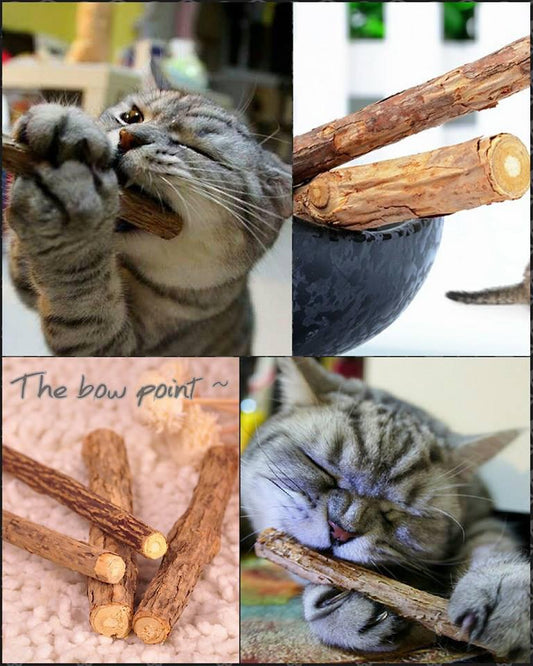 Catnip Chew Sticks (5pcs pack) – Pet toy.
