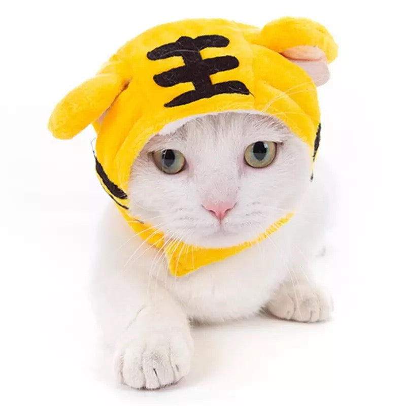 Pet Winter Caps