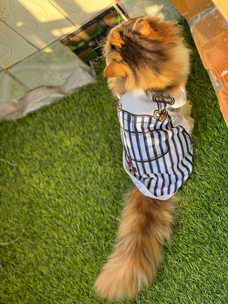 Romper pet shirt 💙