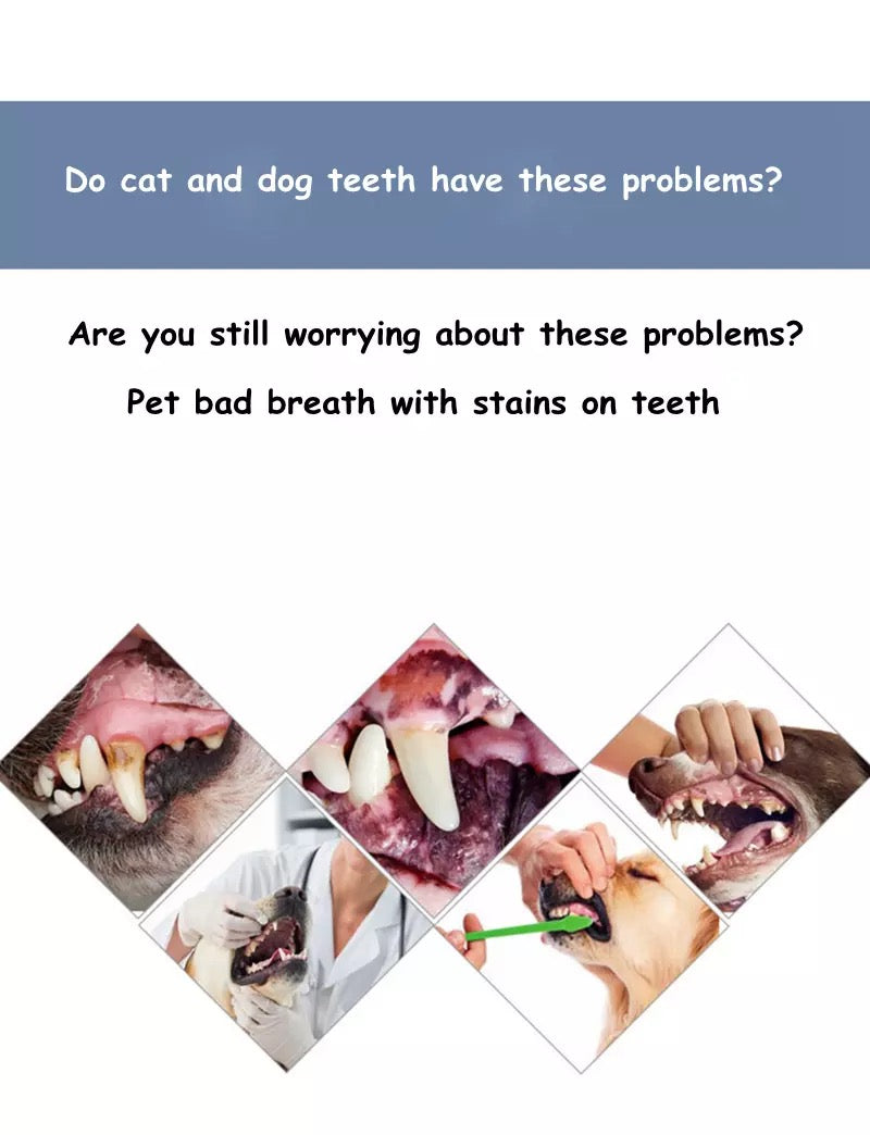 Pet Toothpaste - beef flavour - edible