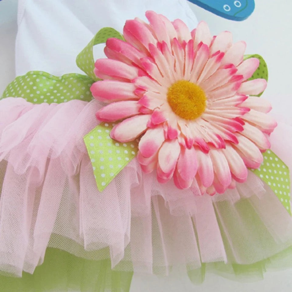 Hawaii Pet Frock π