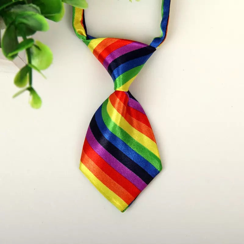 Adjustable pet tie.