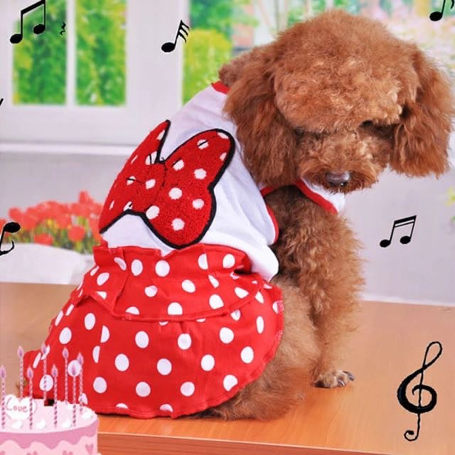 Mickey mouse Pet Frock