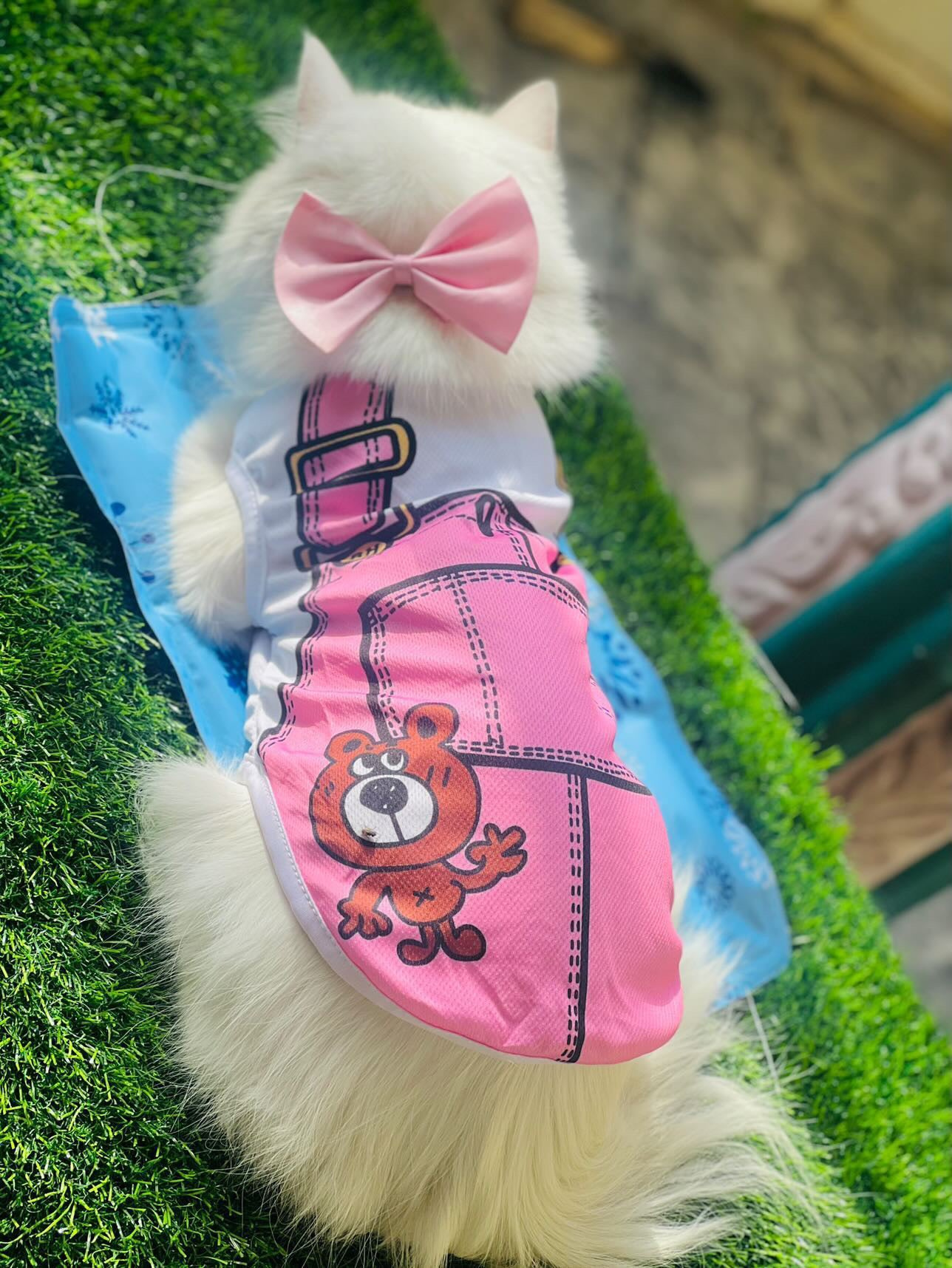 Skirt pet shirt
