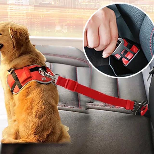Car seat pet leashe