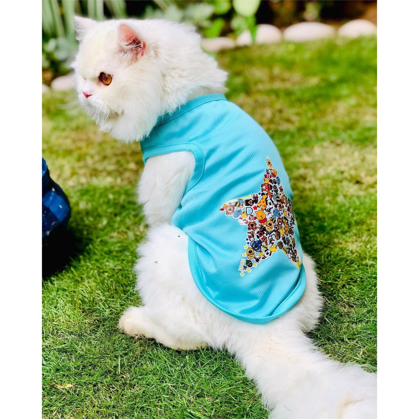 Big Star pet shirt