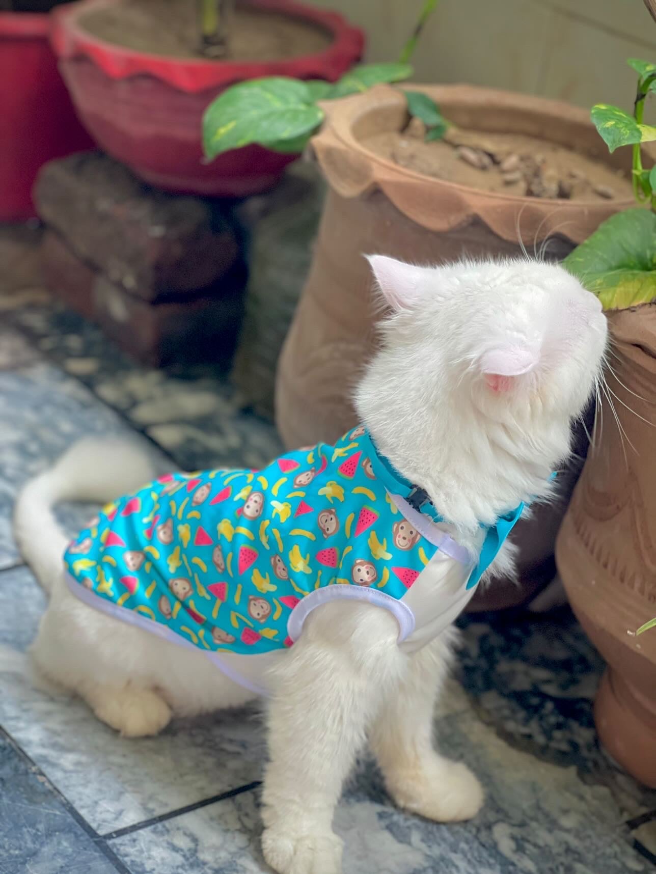 Banana monkey pet shirt ๐๐ต