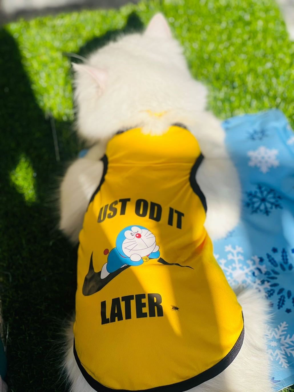 Just Do It pet shirt ✔️