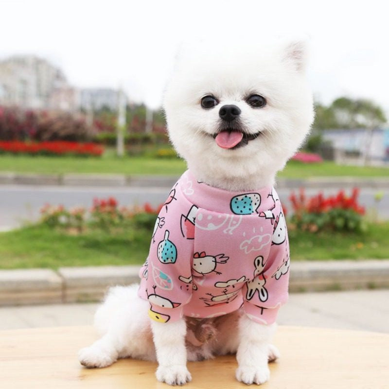 Farm pet sweater š®š£