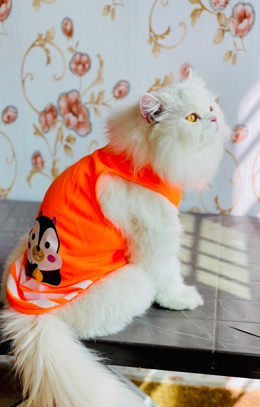 Squirrel pet shirt