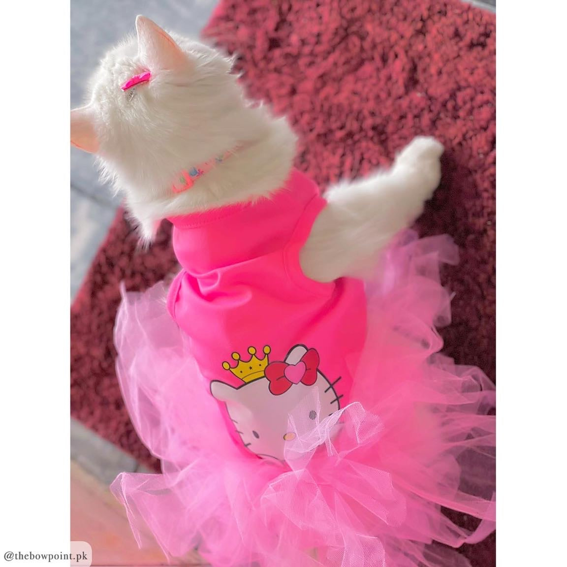 Hello Kitty Pet shirt Summer
