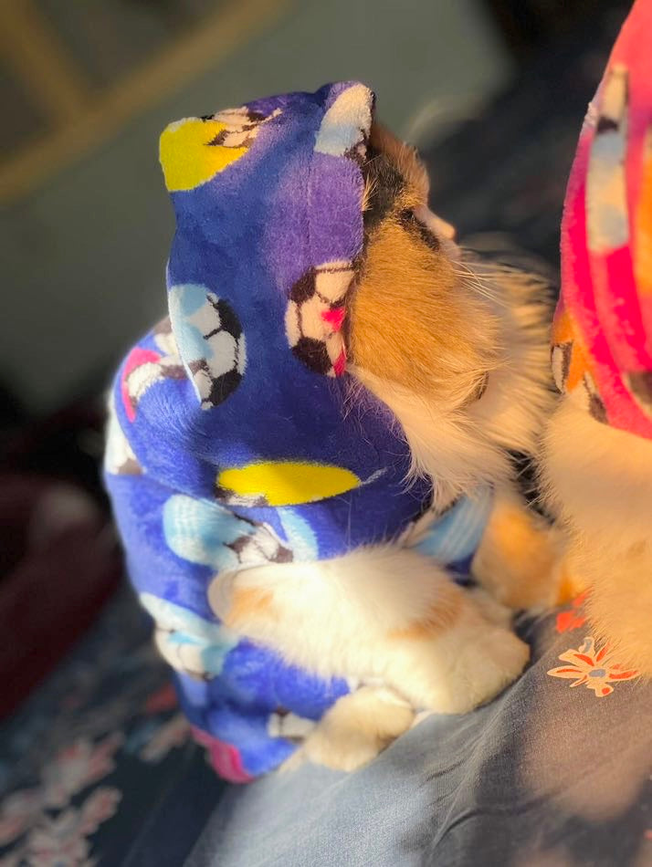 Football pet hoodie - pink