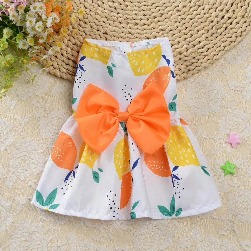 Avalon Pet Frock ππ