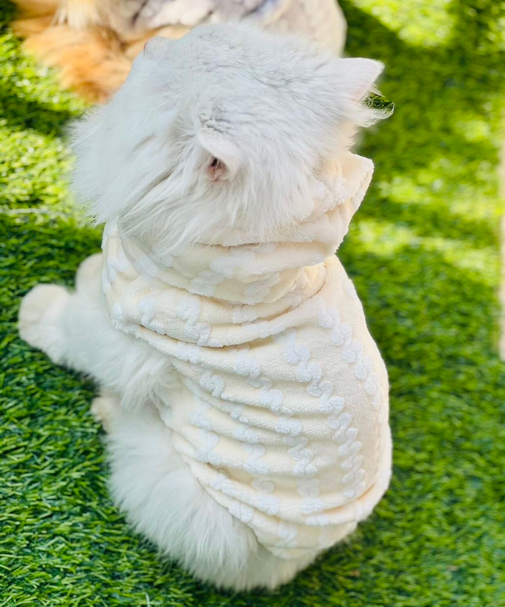 Royal pet hoodie - Yellow